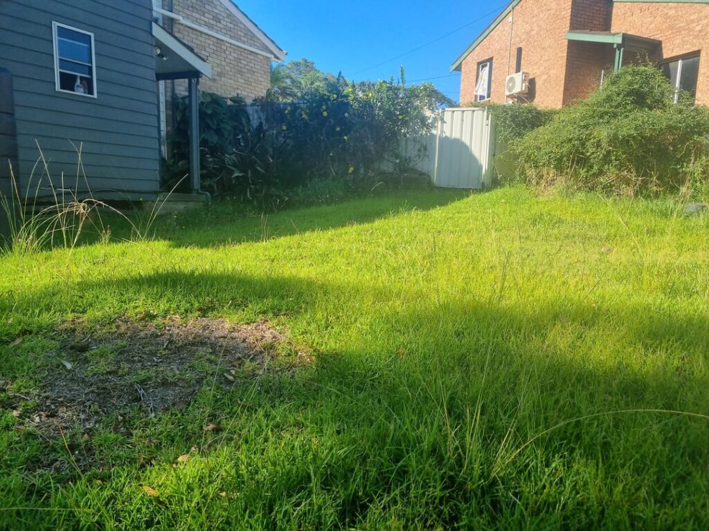 What to do with this area? What to do with this area?
