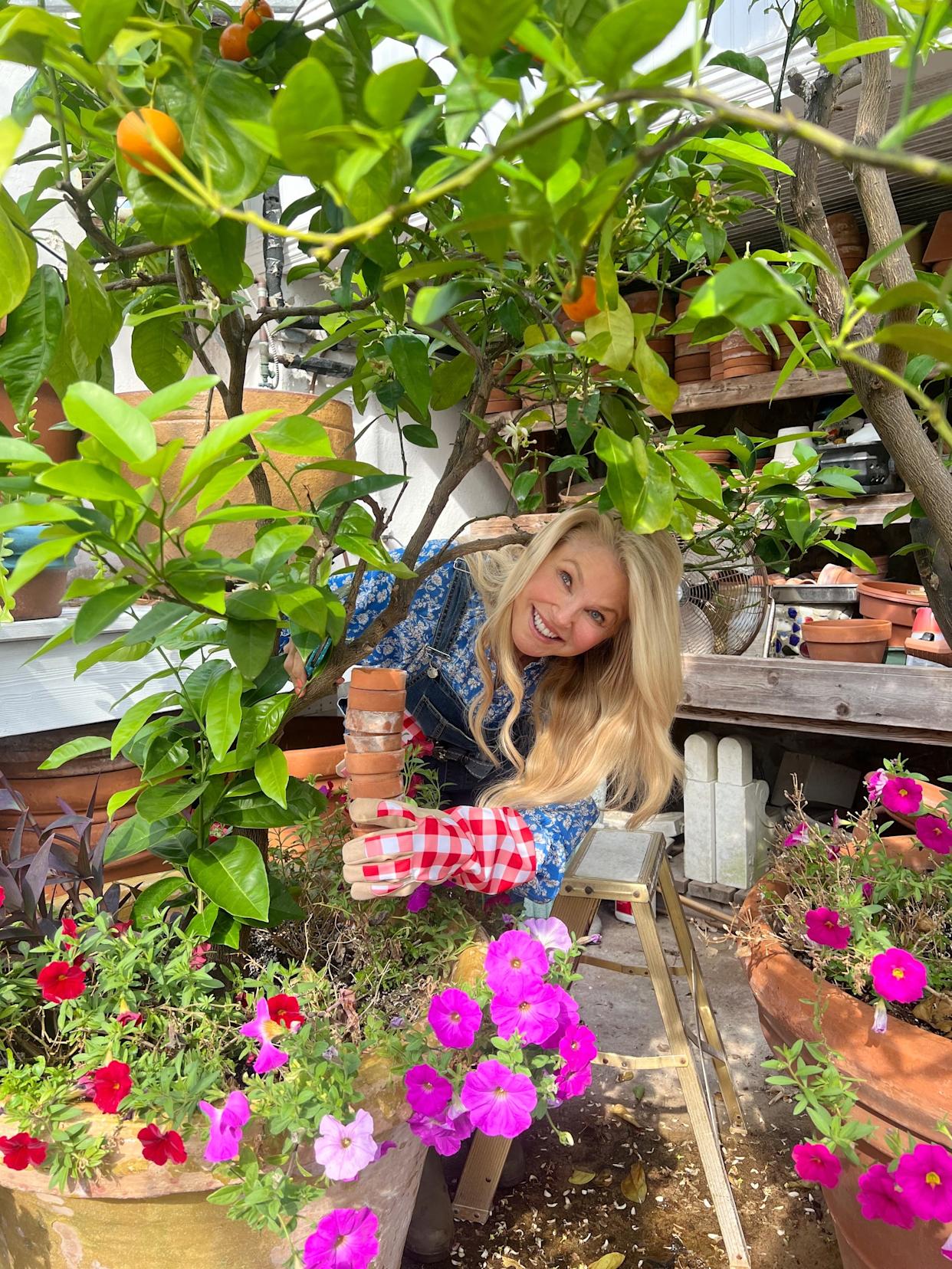 supermodel christie brinkley in garden