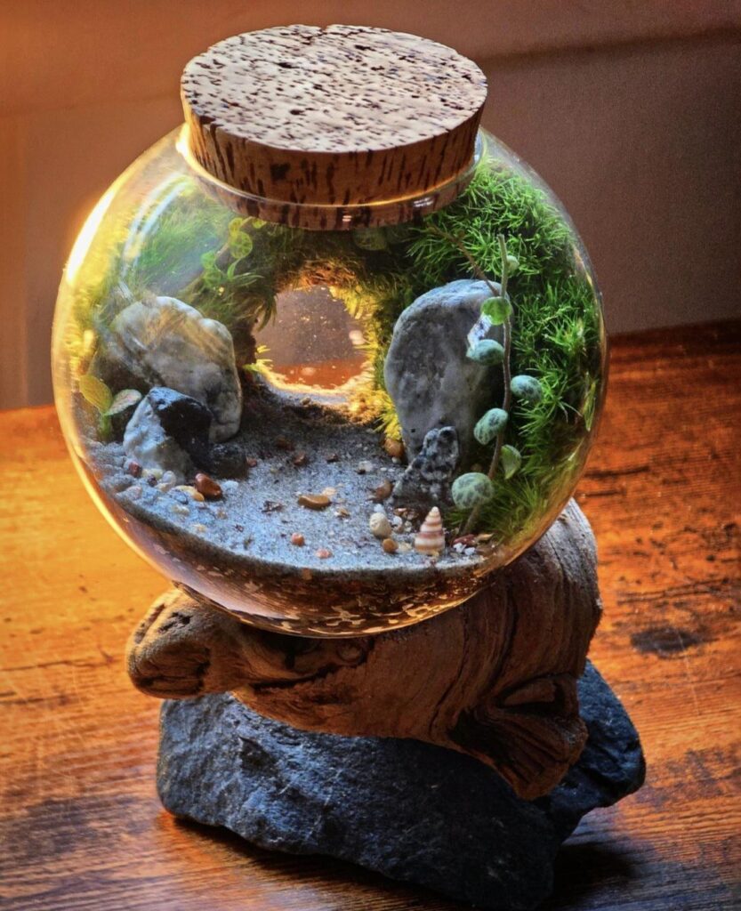 Golden Hour #2 – a Terrarium by Era of Terra Golden Hour #2 - a Terrarium by Era of Terra