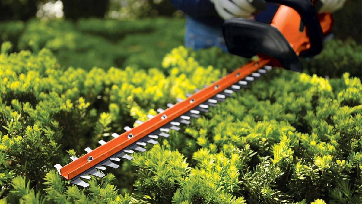 A large 22-inch blade cuts back shrubs with little effort. 