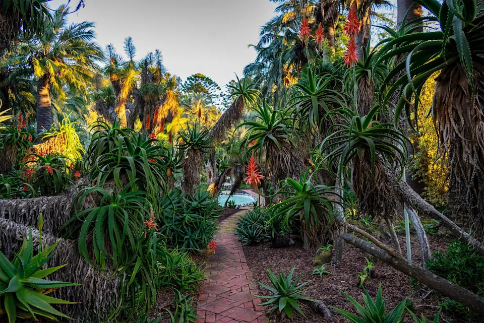 Photo credit: Lisa Eisner