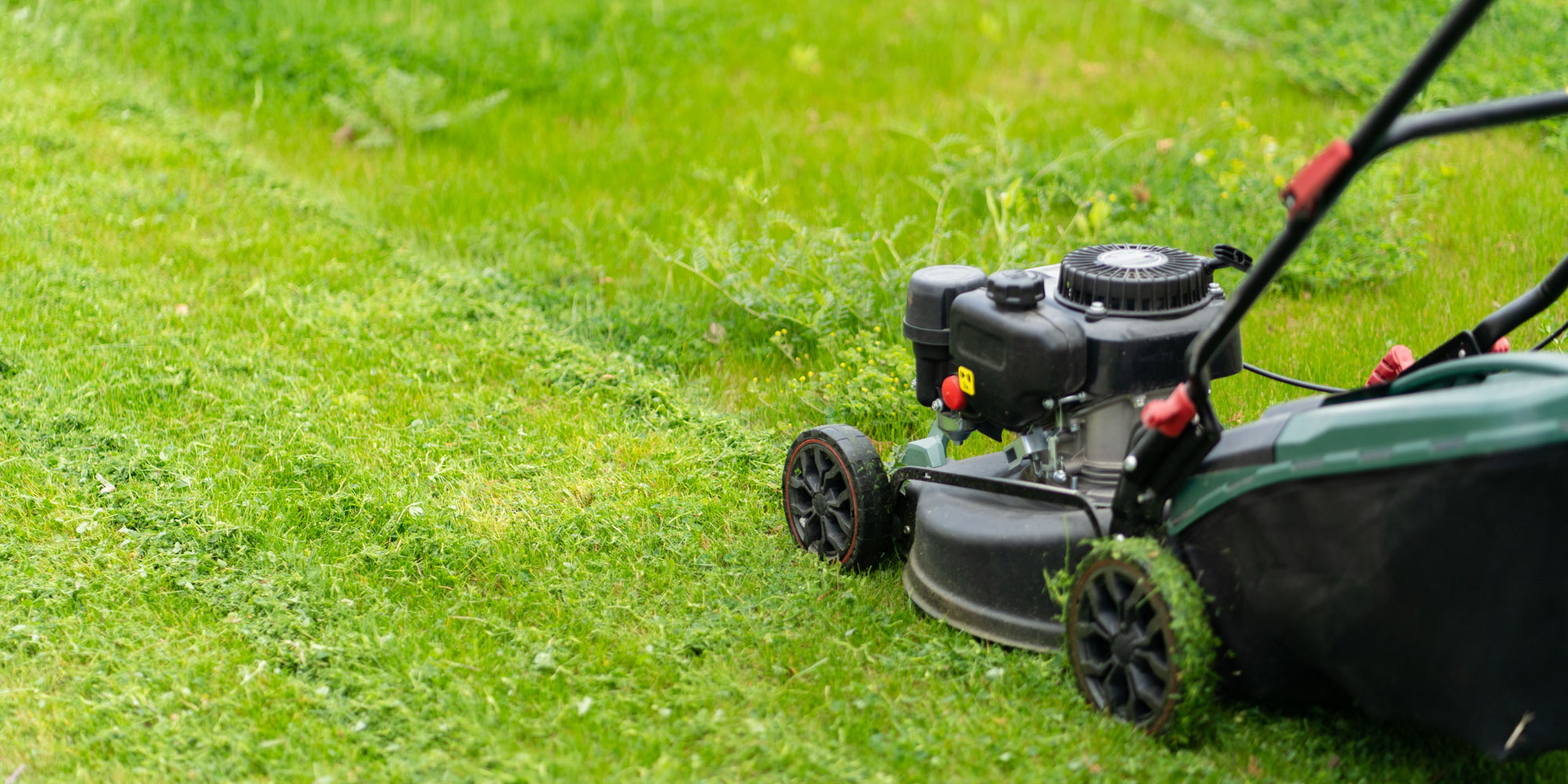 Cutting grass
