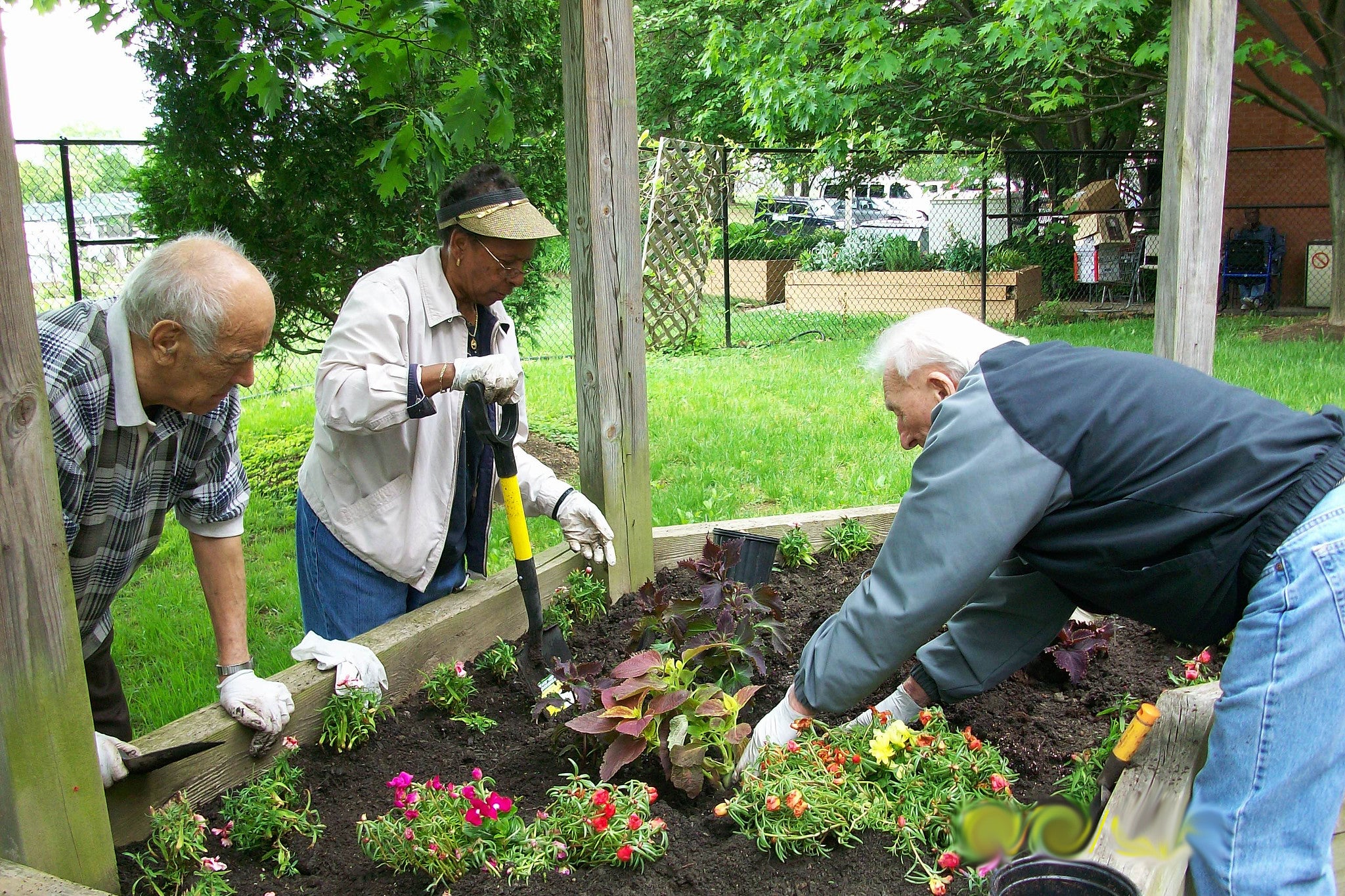 Older adults gardening in a raised bed.