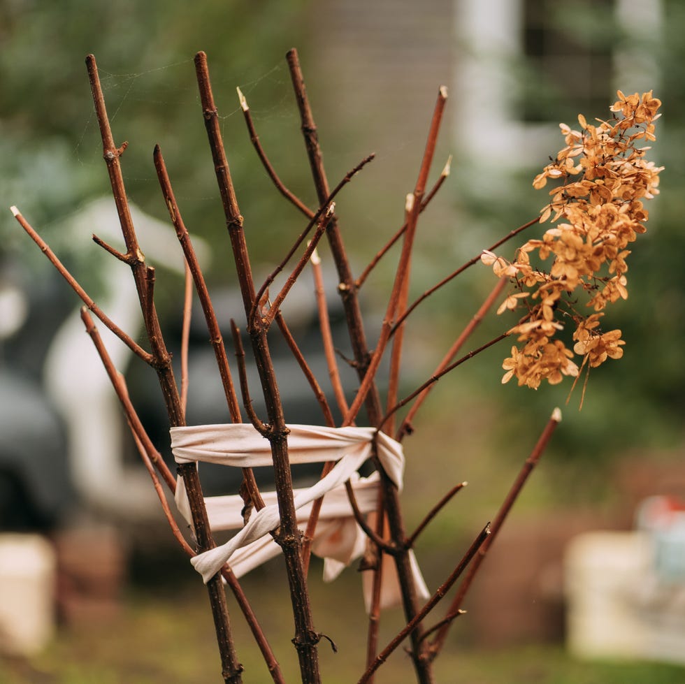 dried hydrangea blossom and branches tied with fabric, showing a spiderweb in a blurred garden