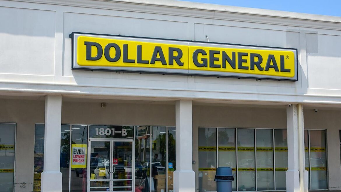 Garden Lovers Are Rushing to Dollar General for These $5 Fiber Hanging Baskets
