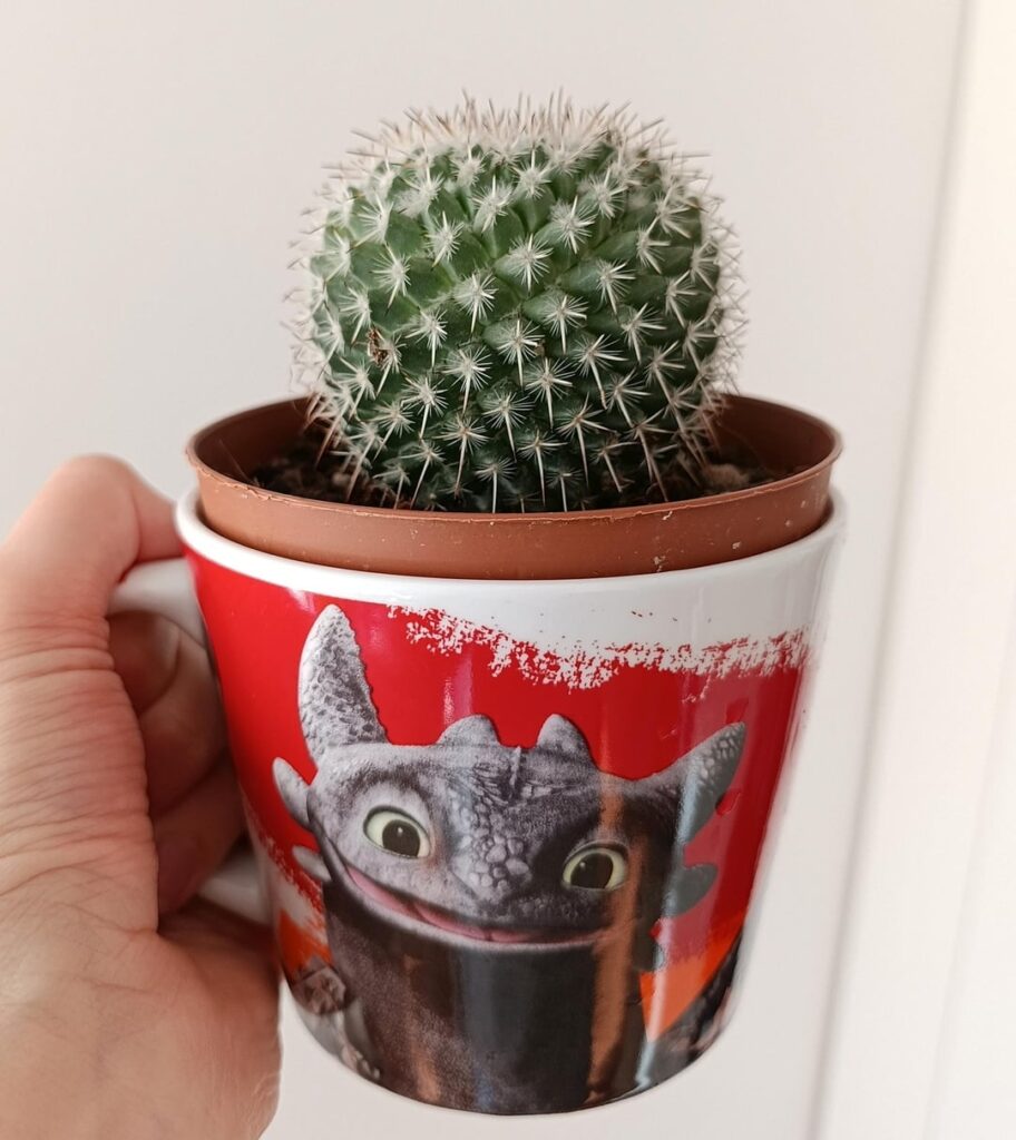 New babies!