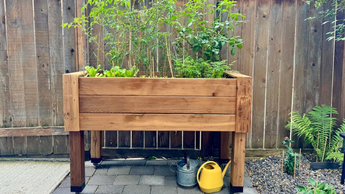 What different gardening catalogs offer