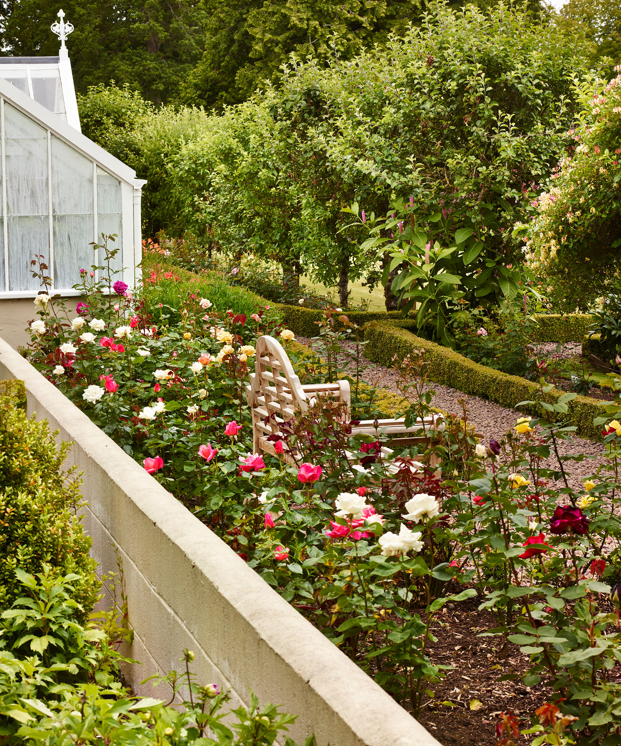 Flower bed ideas with roses and flowers