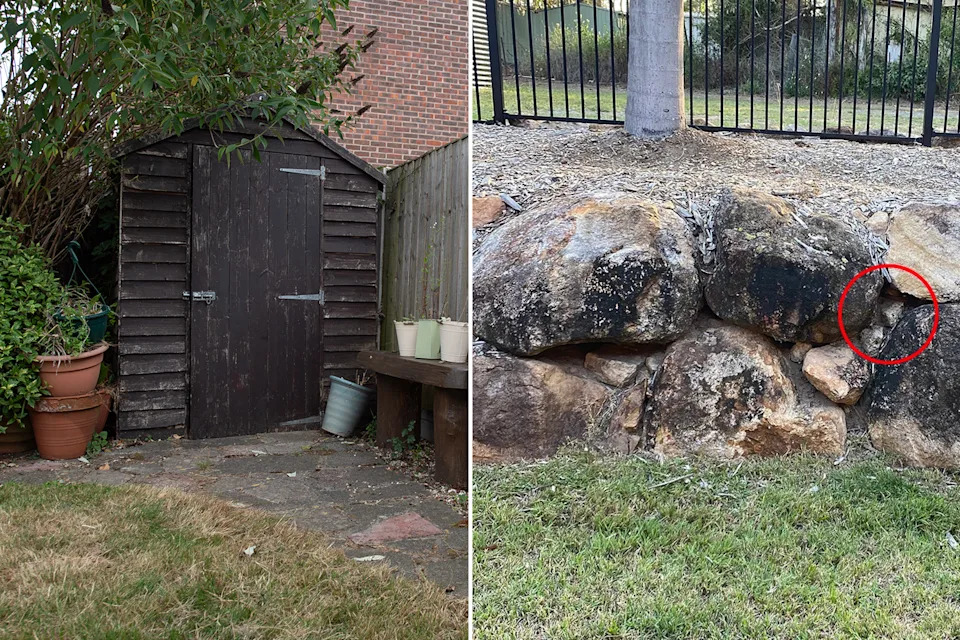Left: Shed in backyard. Right: Snake in rock crevice in backyard. 