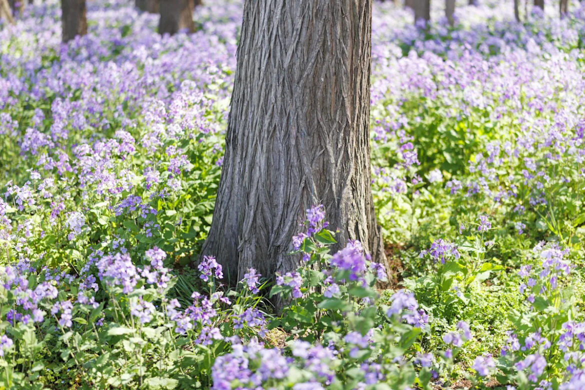 We Asked Gardeners What Landscaping Trends They Secretly Hate—and They Had Thoughts Yahoo lifestyle home