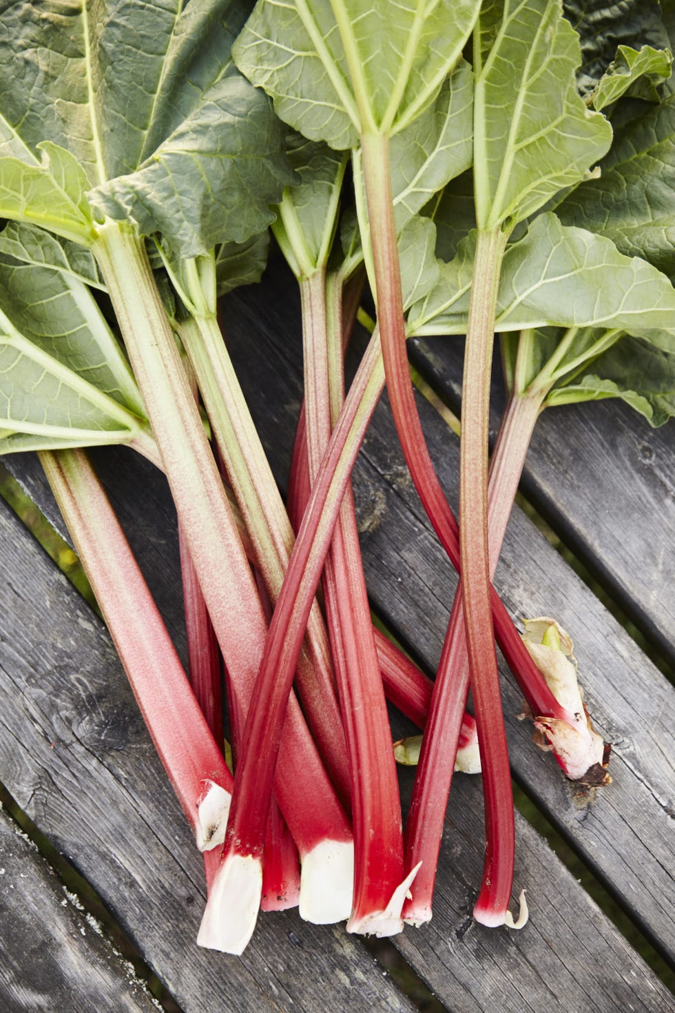 fresh rhubarb stalks with green leaves arranged on a wooden table