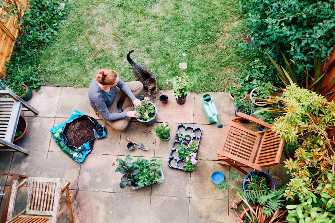 6 biggest gardening mistakes you can make this spring — and how to avoid them Gardening is a good way to kick off spring: Avoid these mistakes to grow the best garden, plus a guide to preparing soil and planting seeds