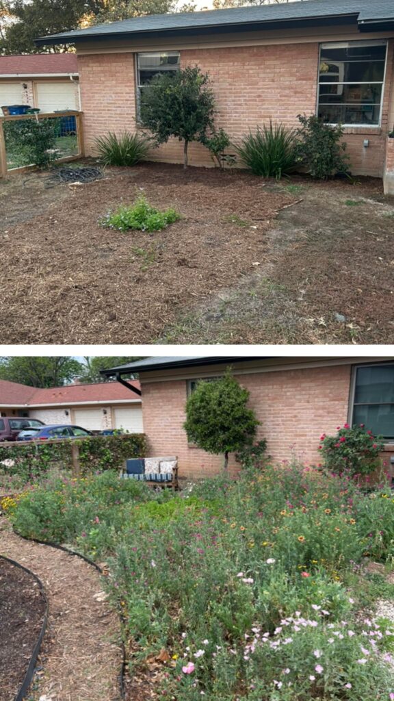 Feeling so proud of my little pocket prairie/wildflower patch that has been in the works since 2024 and is finally in full bloom! Feeling so proud of my little pocket prairie/wildflower patch that has been in the works since 2024 and is finally in full bloom!