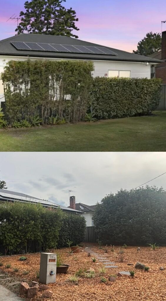 Goodbye lawn, hello Australian natives.