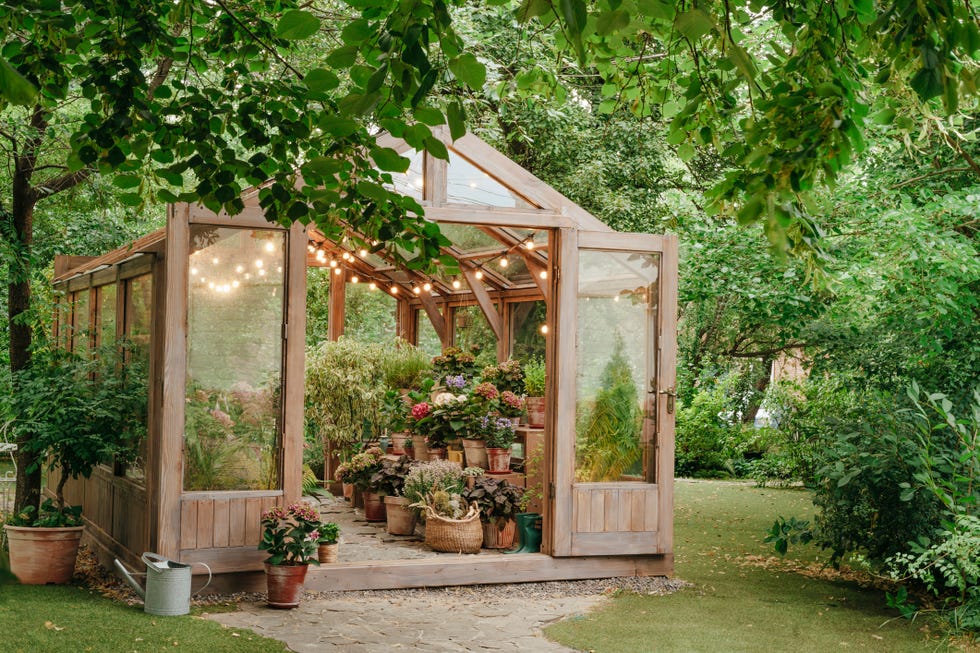 Wooden illuminated greenhouse in backyard Wooden illuminated greenhouse in backyard