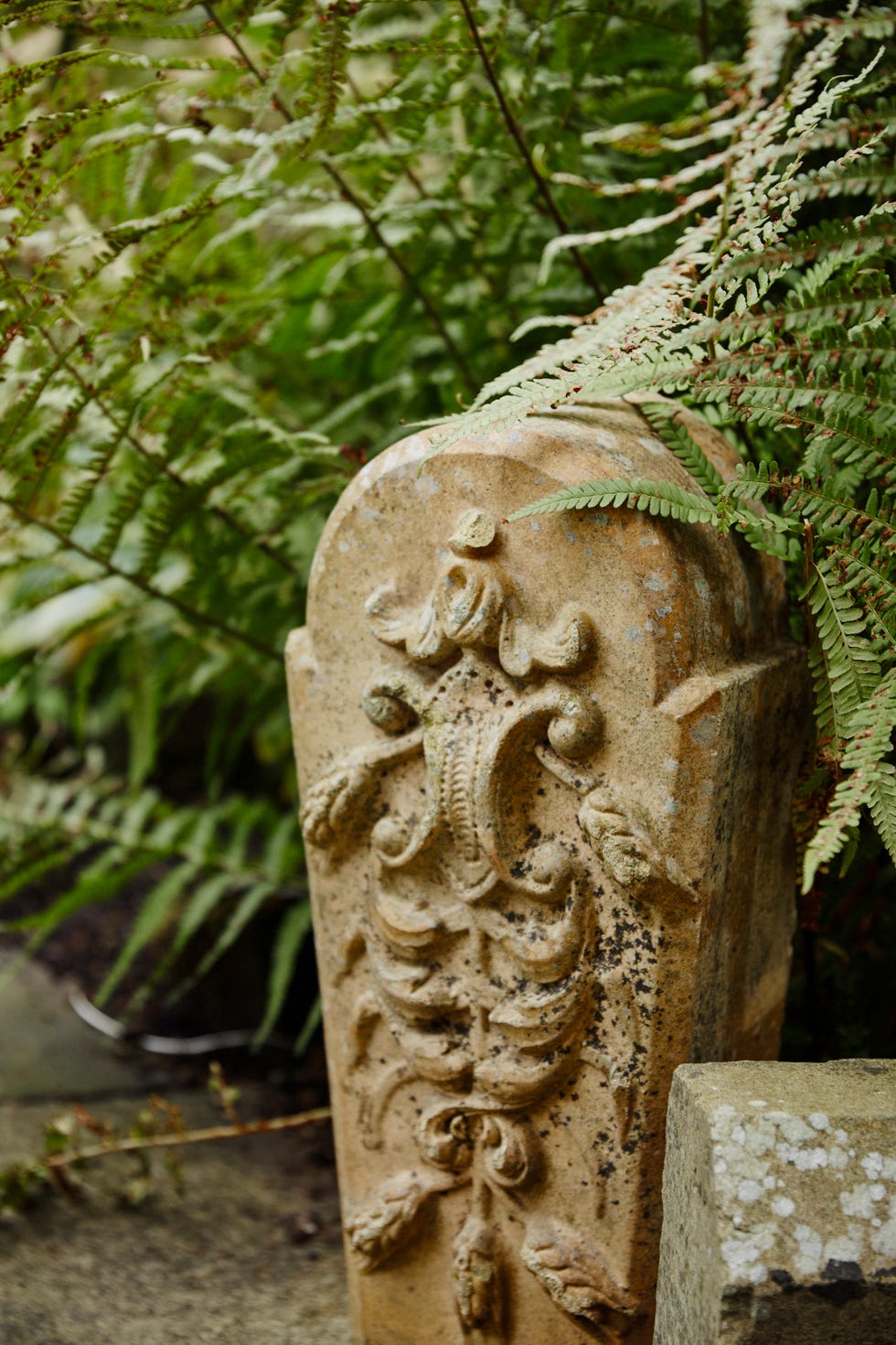 decorative stone element partially concealed by ferns in a garden setting