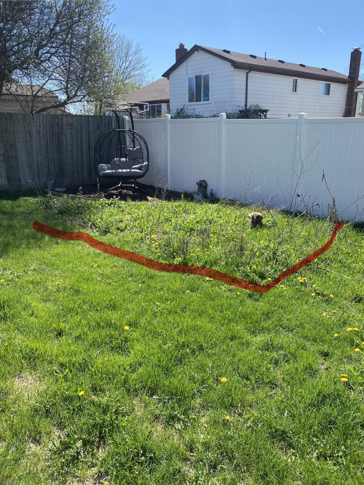What to do with this wildflower patch in the beginning of the season