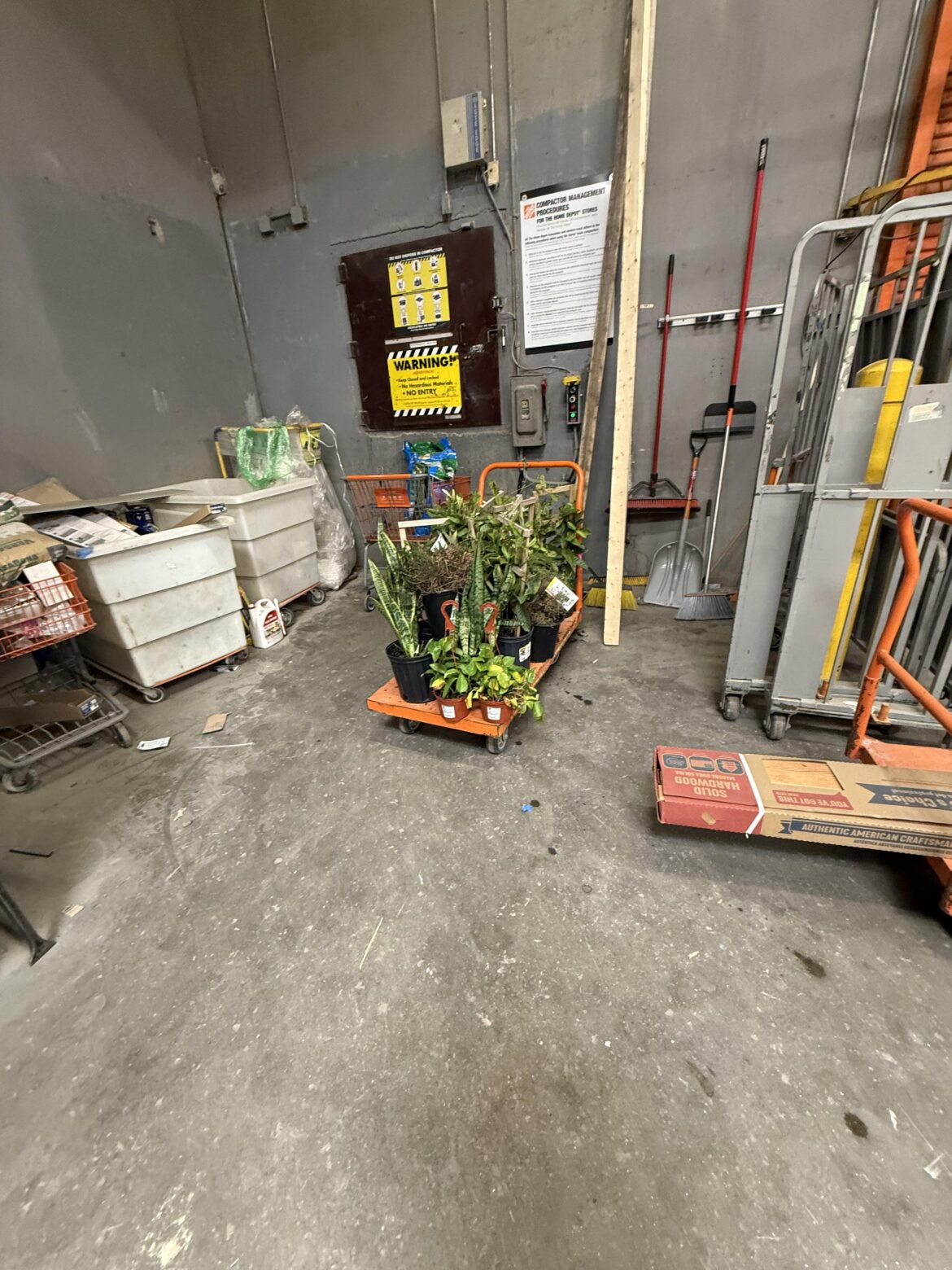 Rip innocent plants