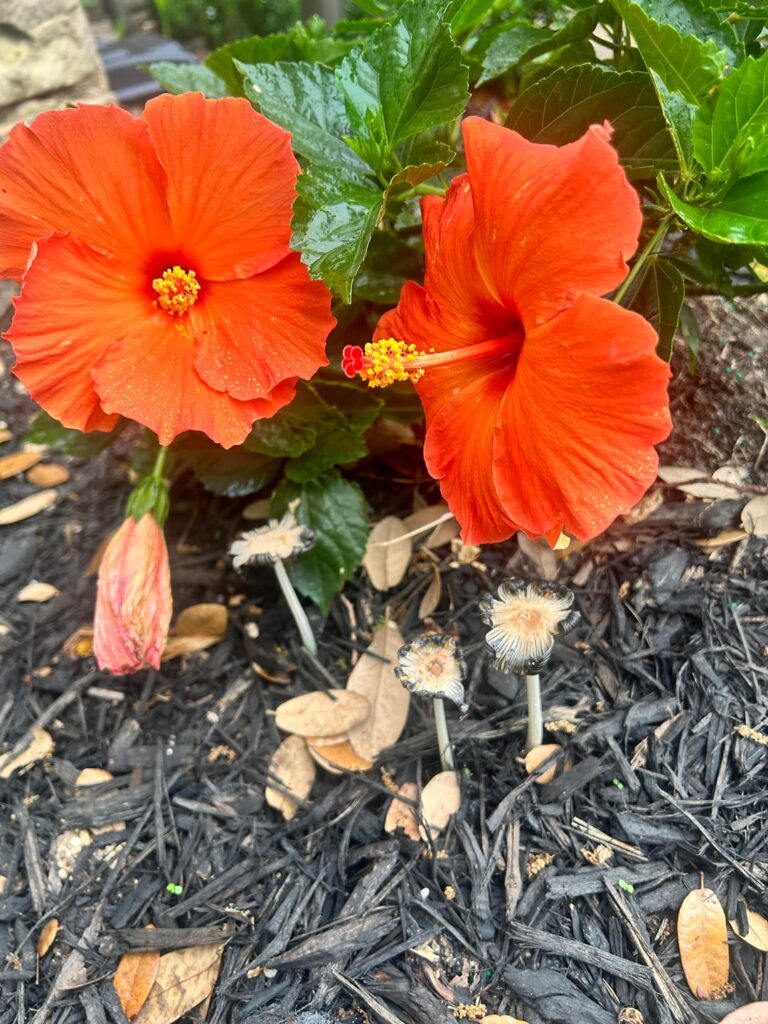 Such a nice treat to see