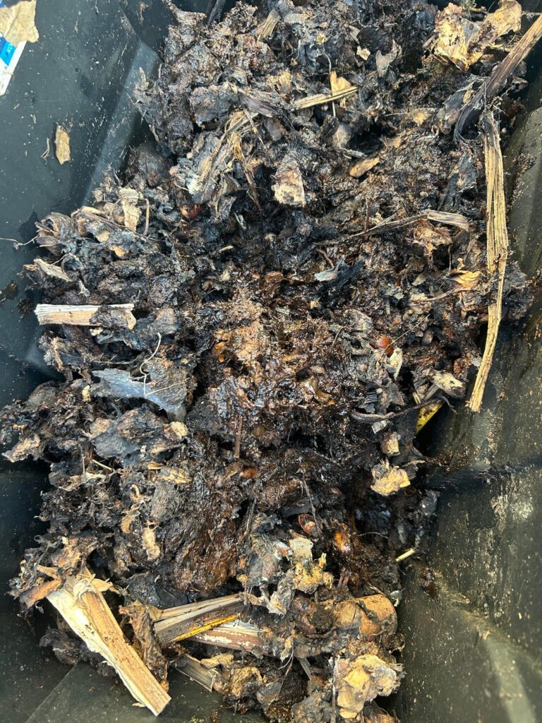 I was lazy – have I ruined my compost? I was lazy - have I ruined my compost?
