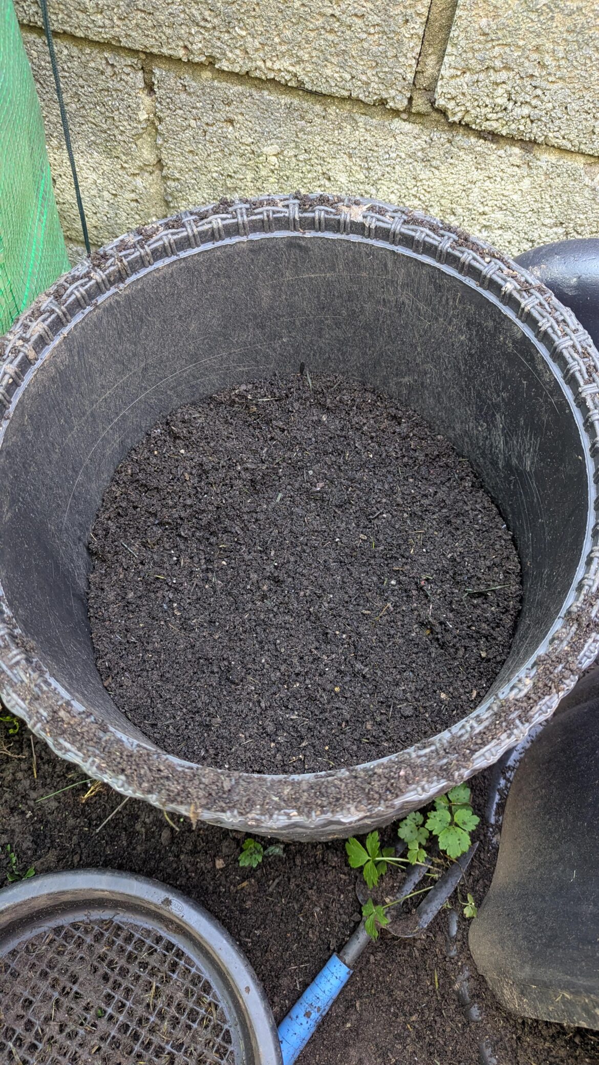 Thrilled with first harvest from dalek bin