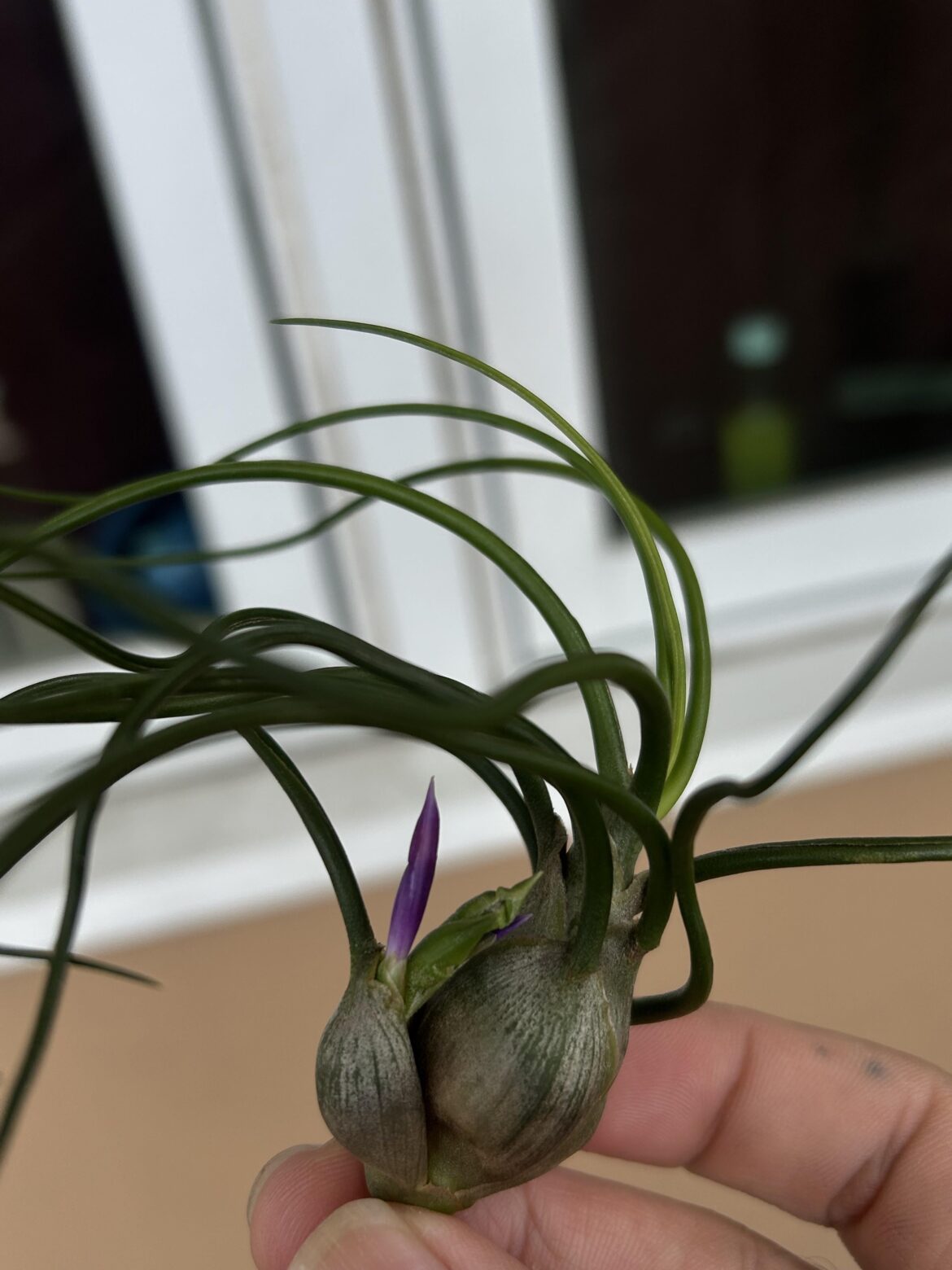 Is this normal?