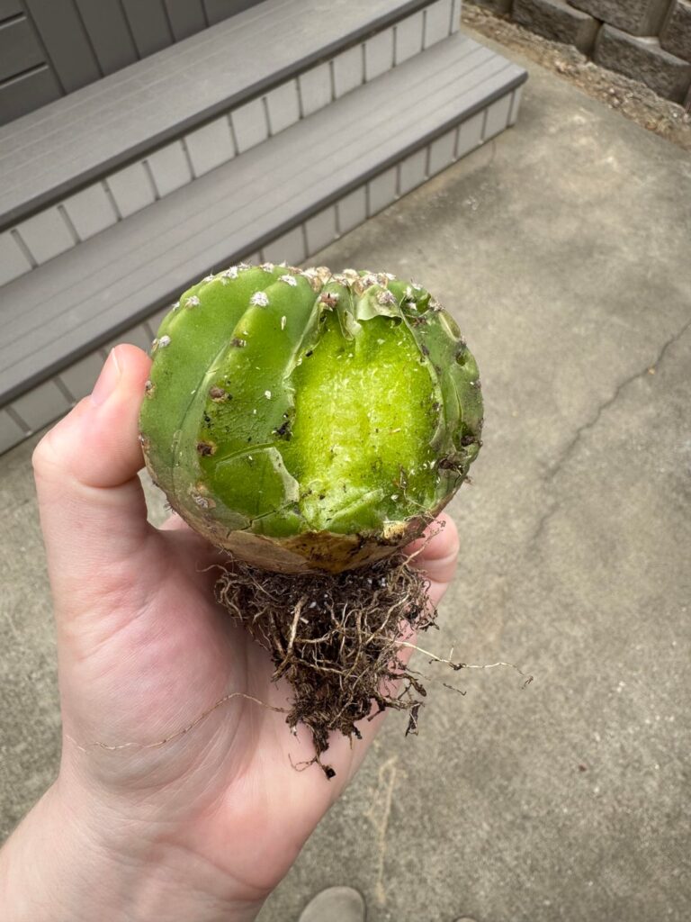 Is it salvageable?
