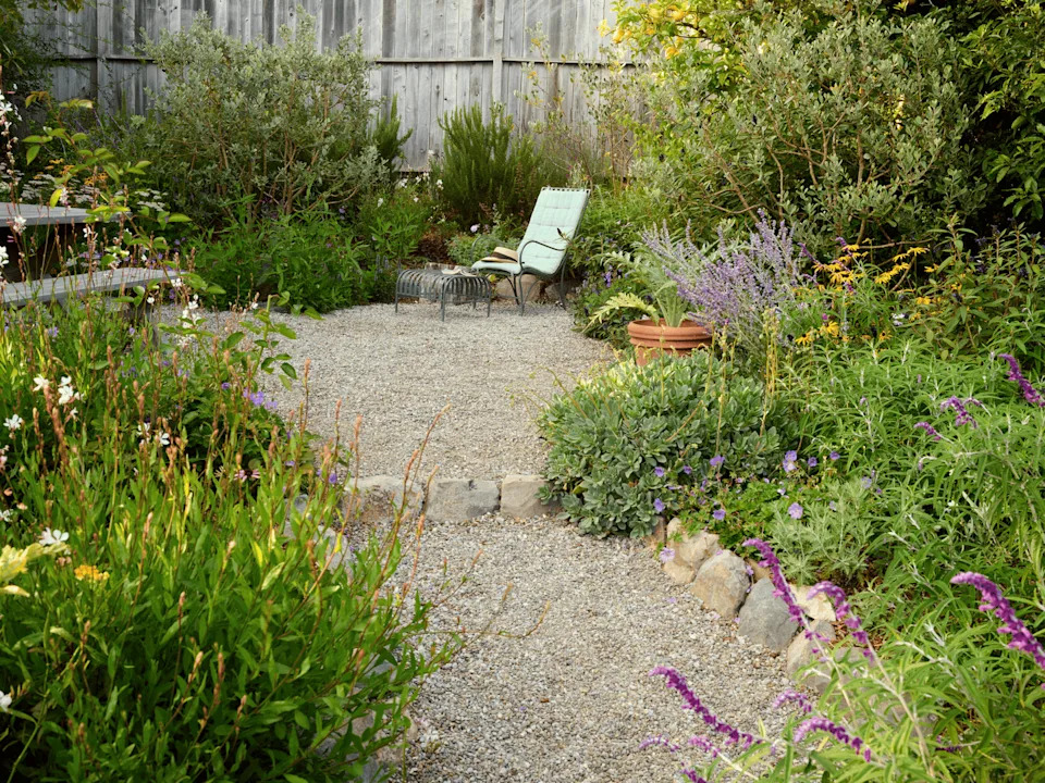 California cottage garden flowering beds