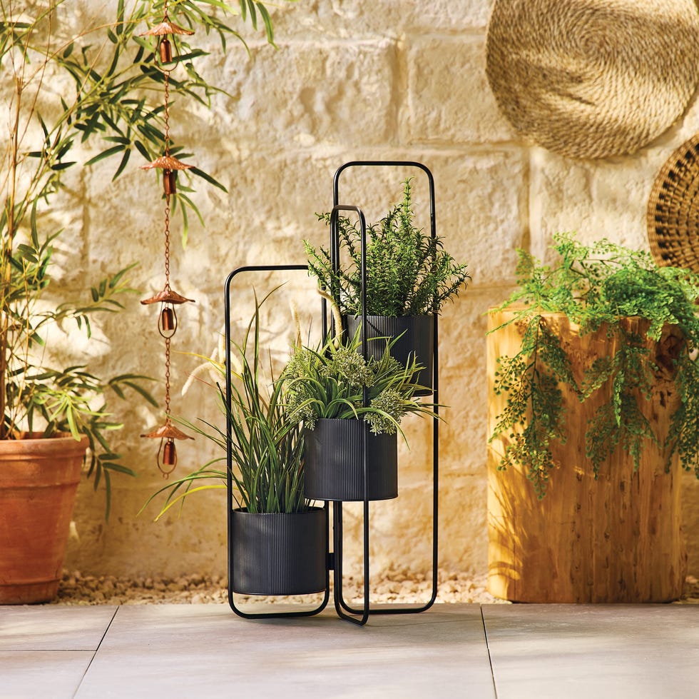 Indoor plant display with various greenery and decorative elements indoor plant display with various greenery and decorative elements