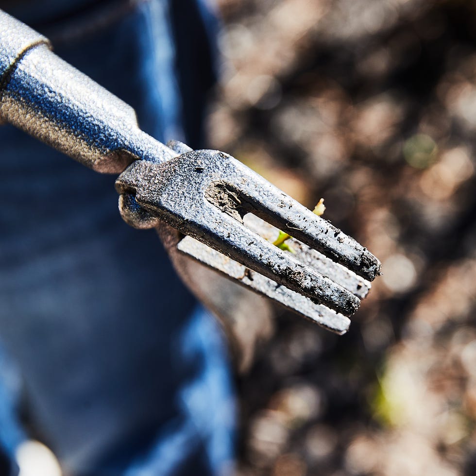 Garden fork held by a hand, focused view on its prongs.