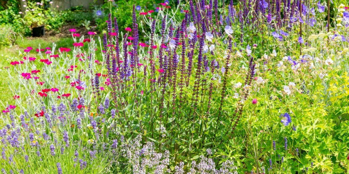 How to Create a Wild Garden in a Small Space — Even on a Balcony How to Create a Wild Garden in a Small Space — Even on a Balcony