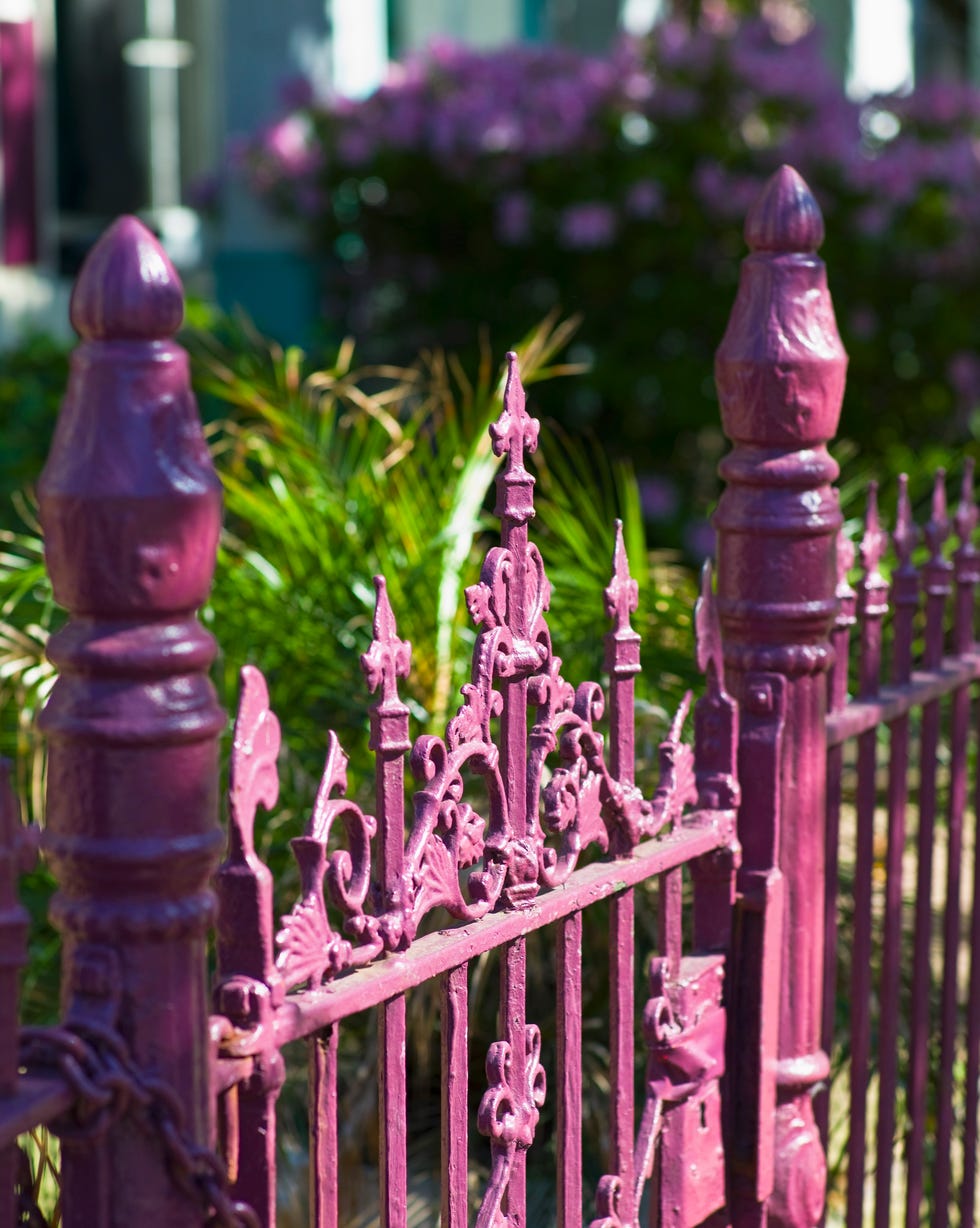 Pink fence pink fence front of house exterior
