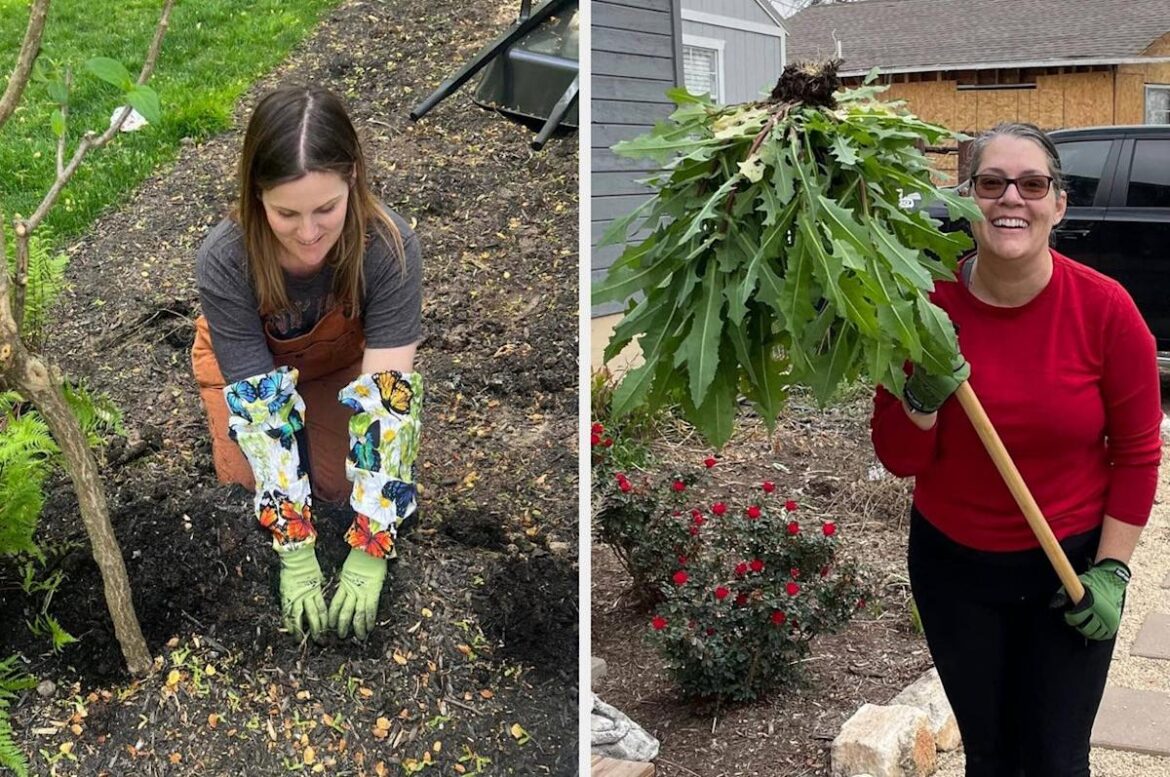 27 Gardening Things Worth Buying Early So You’re Set For The Season 27 Gardening Things Worth Buying Early So You're Set For The Season