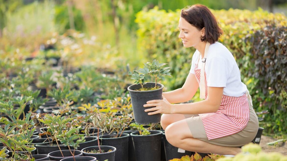 6 Best Shrubs To Plant In May For Added Curb Appeal 6 Best Shrubs To Plant In May For Added Curb Appeal