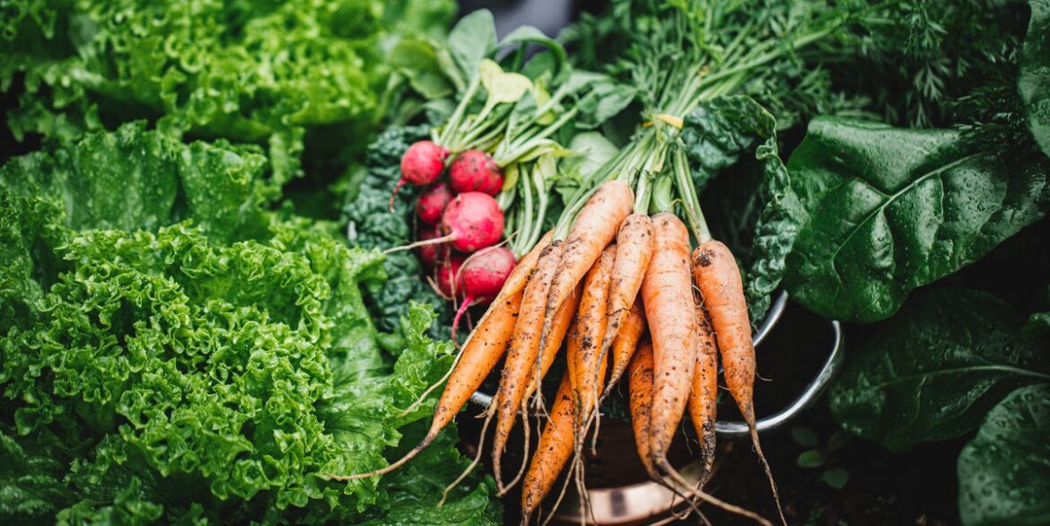 6 Fast-Growing Vegetables You Can Harvest in Weeks, Not Months 6 Fast-Growing Vegetables You Can Harvest in Weeks, Not Months