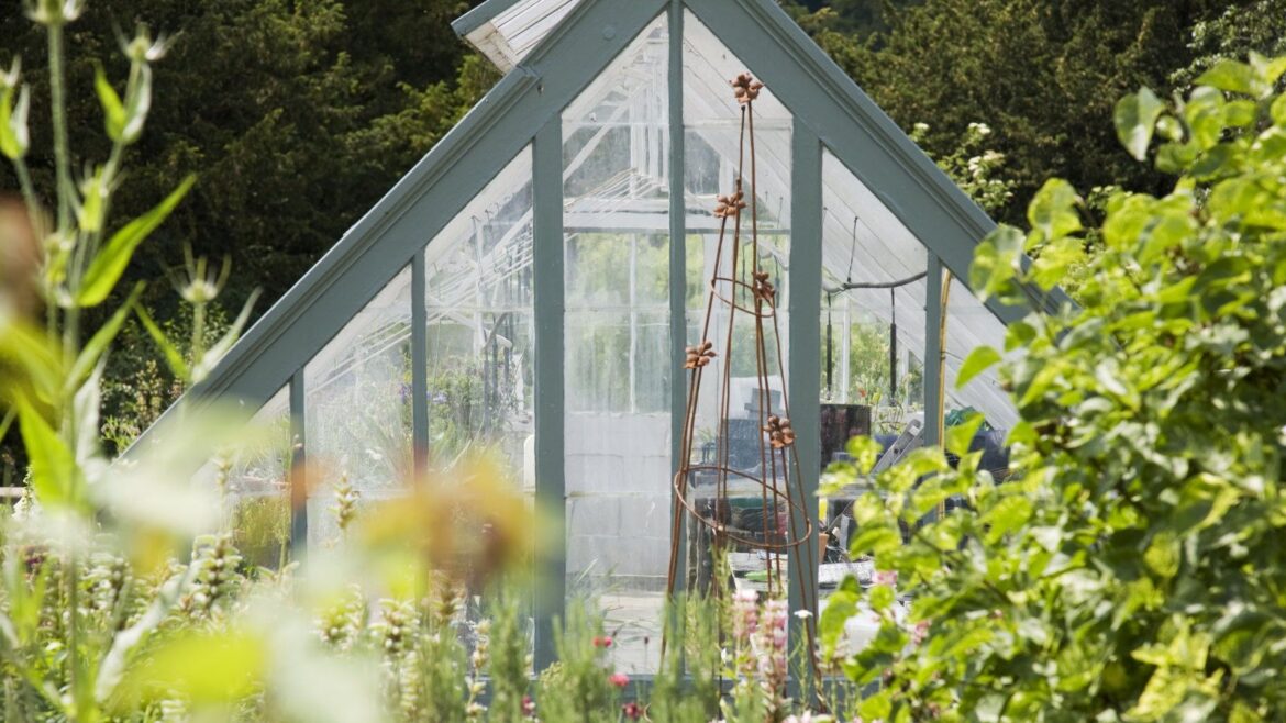 How to Grow in your Backyard Sun Trap A greenhouse surrounded by plants and foliage