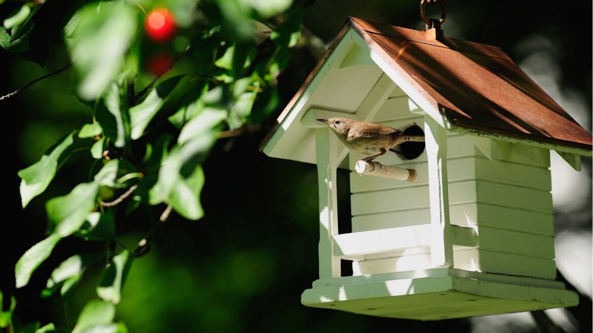 Why You Should Consider Birdhouse Alternatives: Expert Tips Architectural birdhouse white with red roof