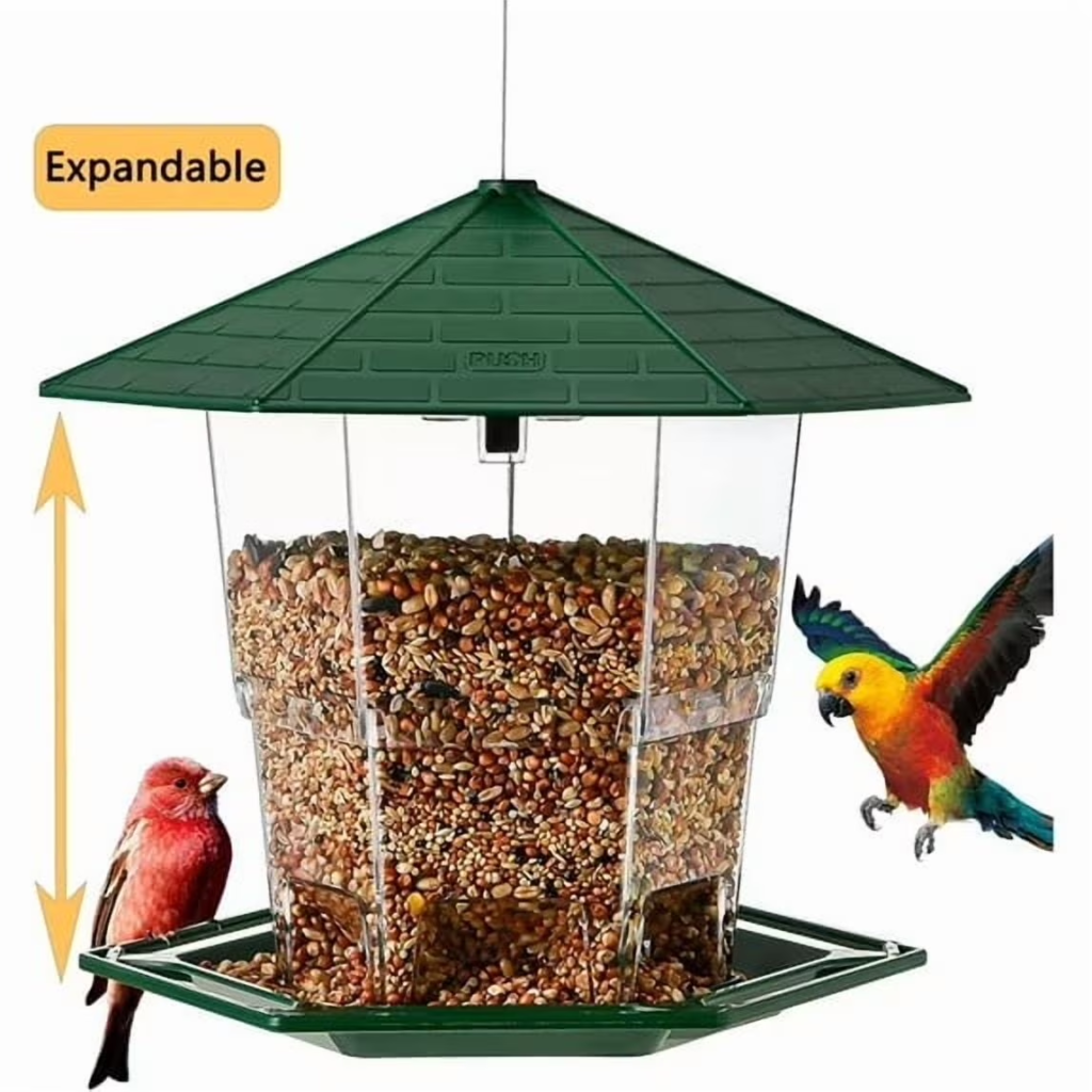 bird feeder