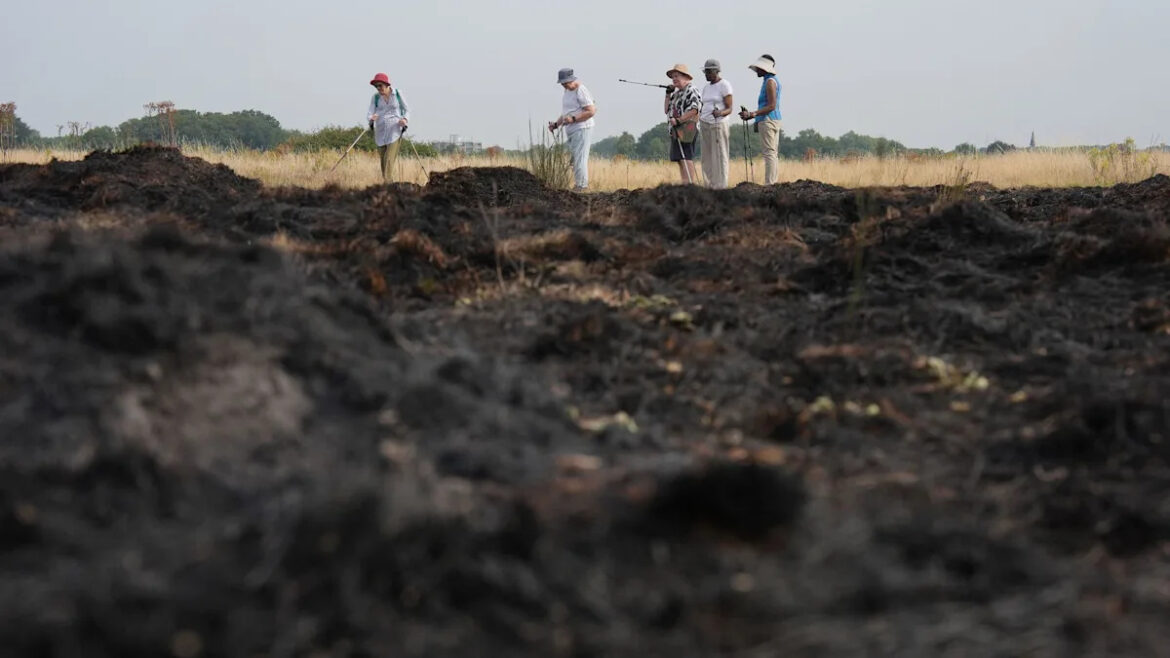 Prevent grass fires by clearing your garden – LFB Prevent grass fires by clearing your garden - LFB