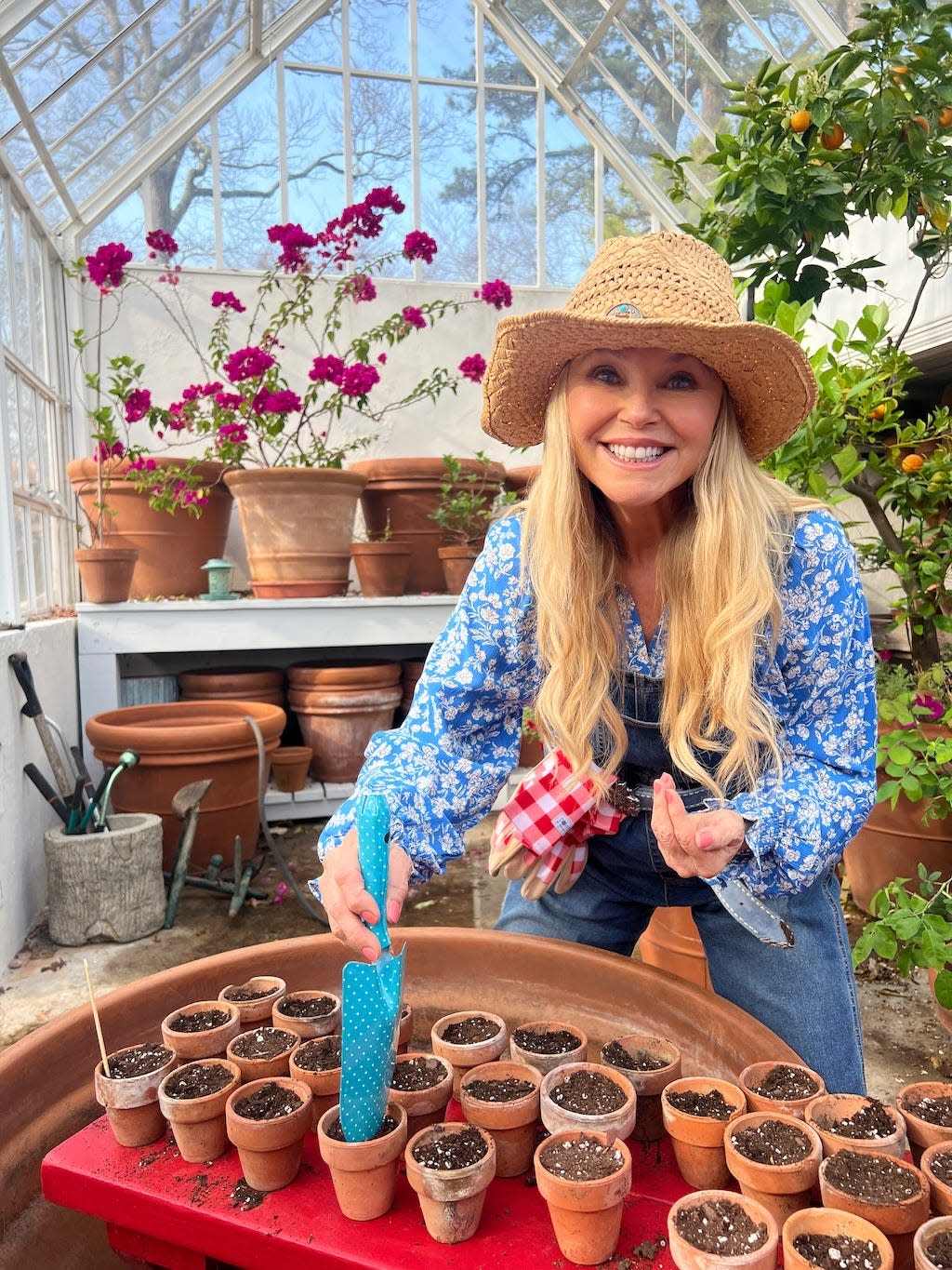 christie brinkley gardening