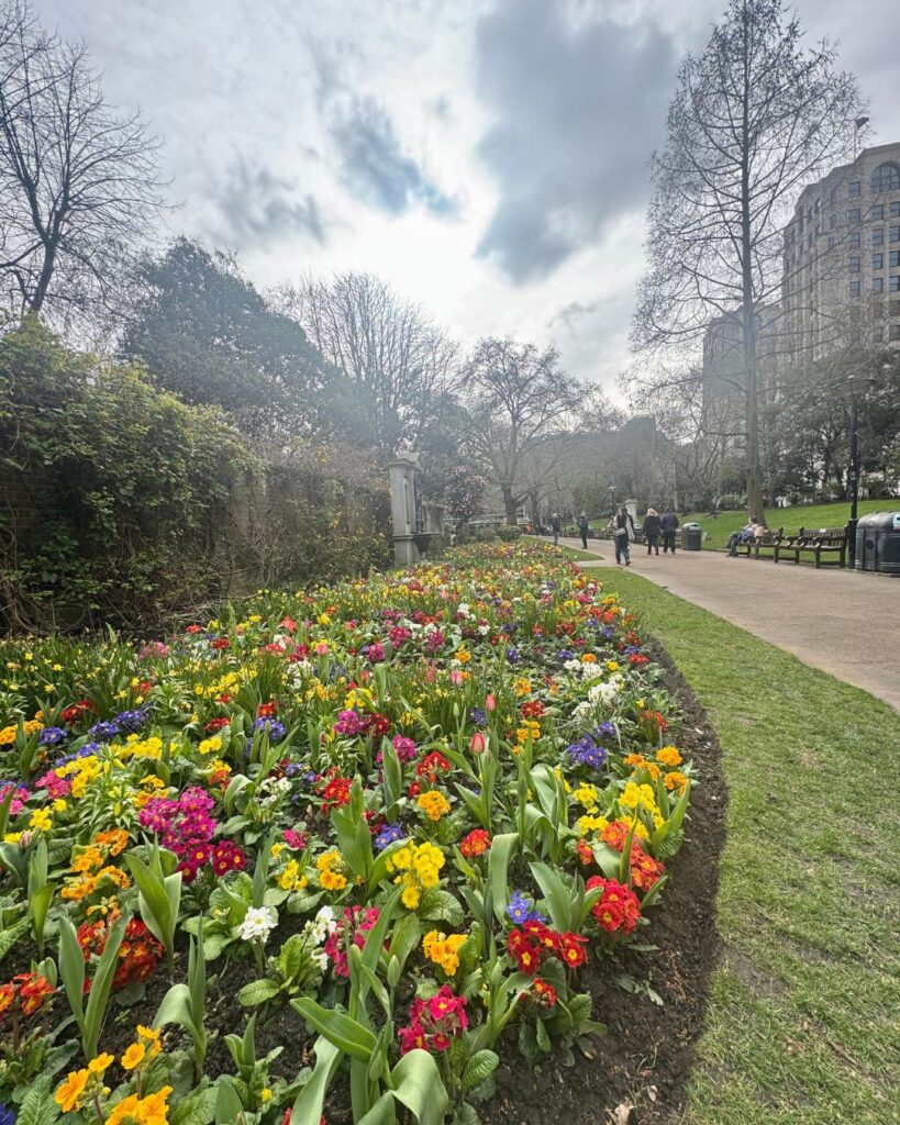 Colorful flower bed brightening up a city park 🌸🌼