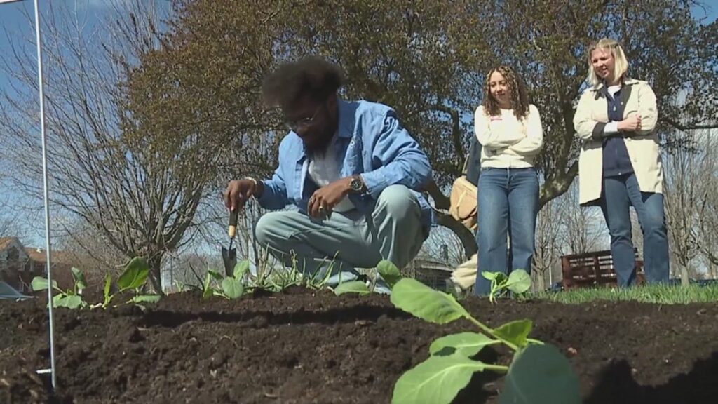 Community gardening initiative returns to the Quad Cities for a second year Community gardening initiative returns to the Quad Cities for a second year