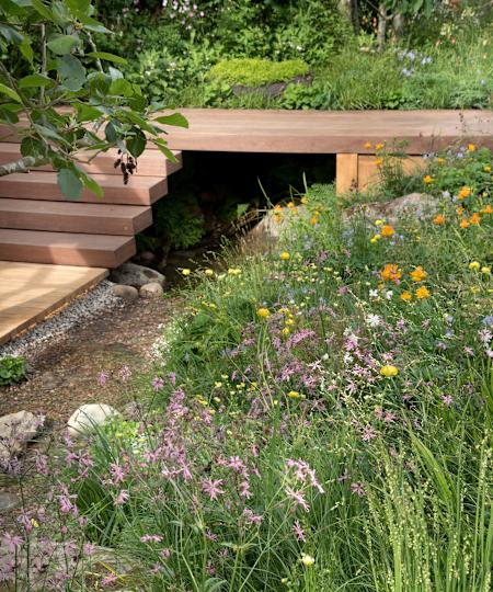 raised deck with wooden steps