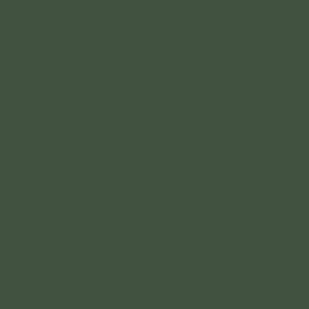Glidden Fundamentals Pine Forest / Green Flat Exterior Paint, 1 Gallon