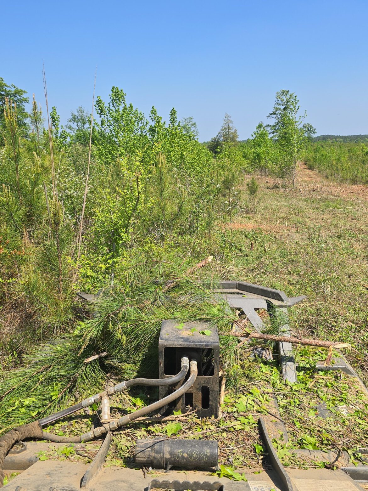 Advice On Clearing & Converting to Pasture