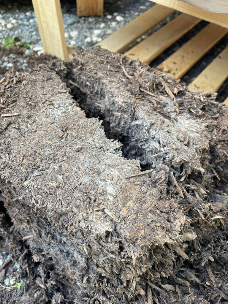 Is this bagged soil moldy?