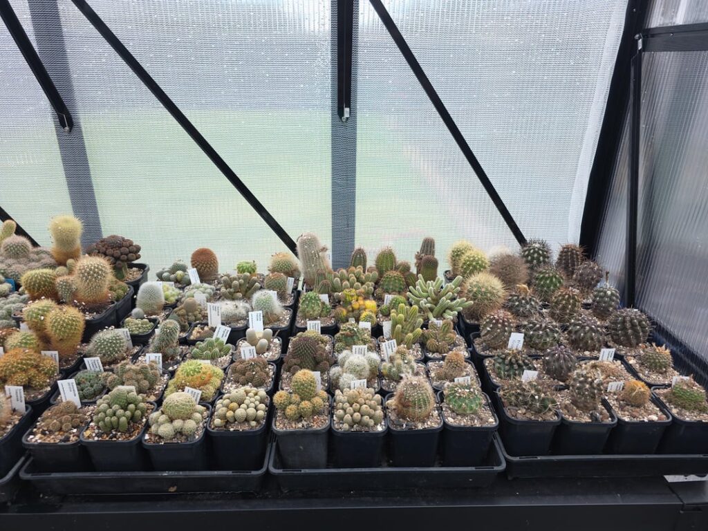 New to the subreddit