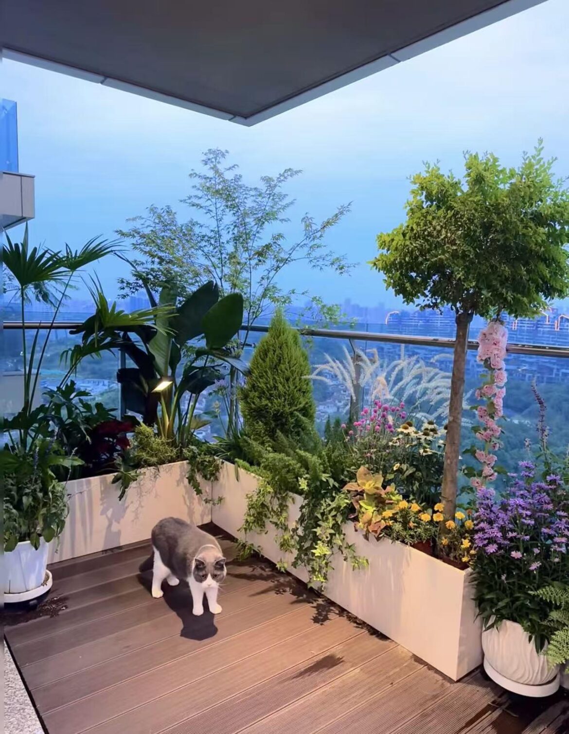 My evening sanctuary. Watching the garden grow as the city lights come on.