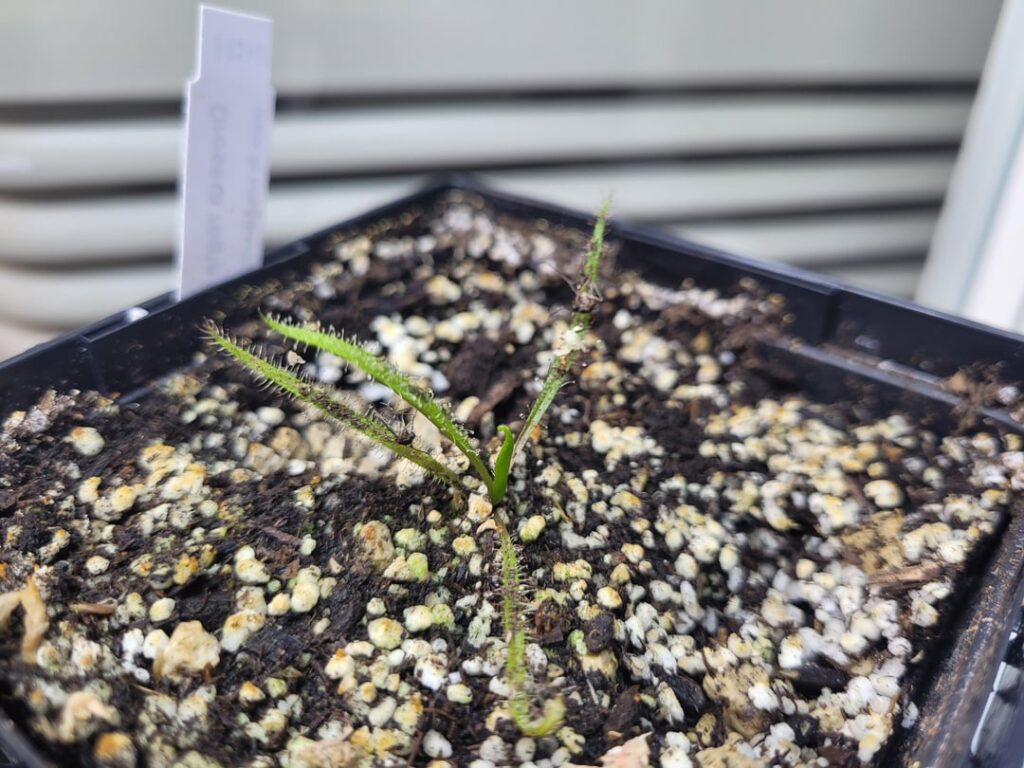 1 year progress