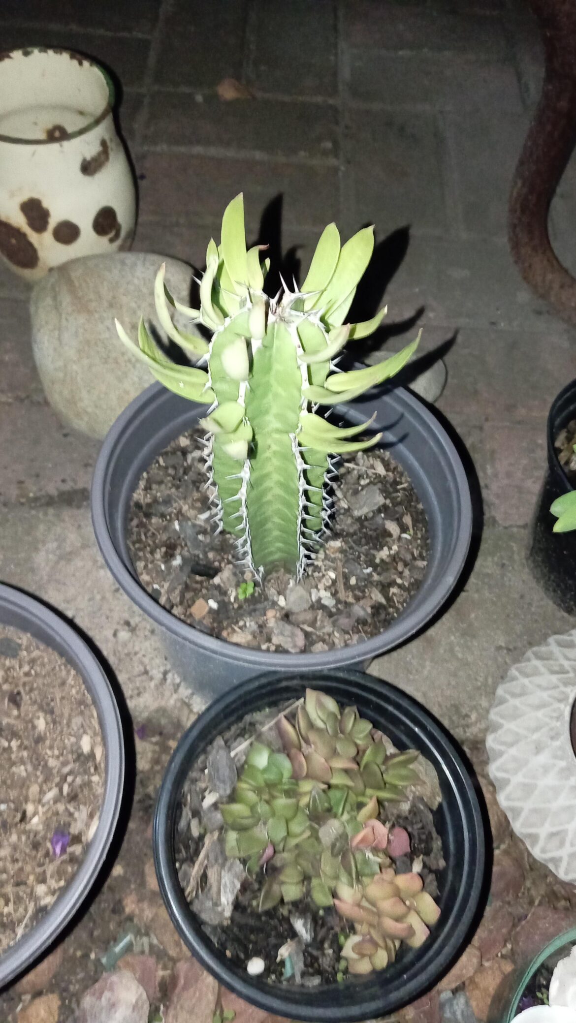 Anyone know what this is?